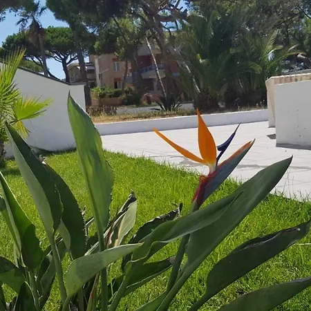 Scauri Resort بيت للعطل سكوري