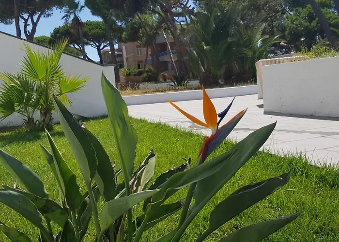 Scauri Resort Prázdninový dům Scauri (Lazio)